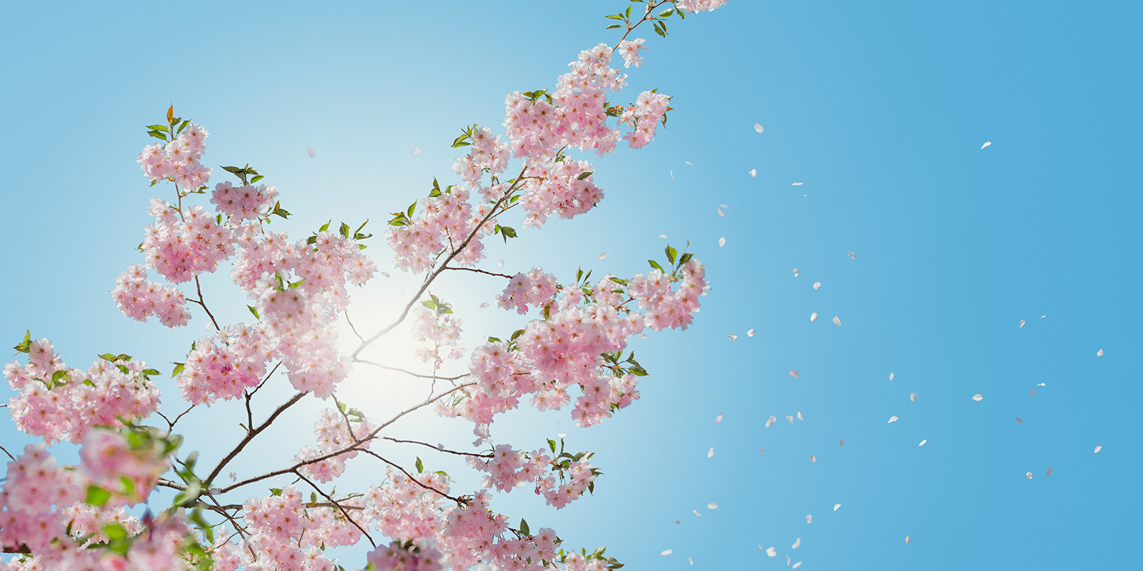 The Grace Of Staying Still In Healing